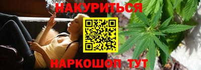 индика Беслан