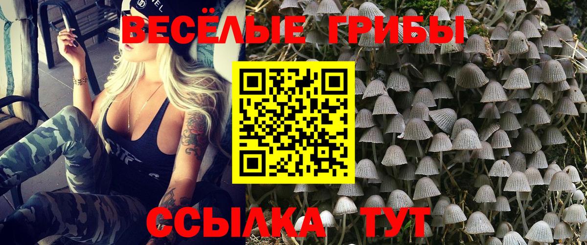 Кандалакша  Галлюциногенные грибы Psilocybine cubensis  Вход с VPN 
