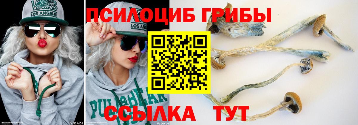 Марихуана Кандалакша