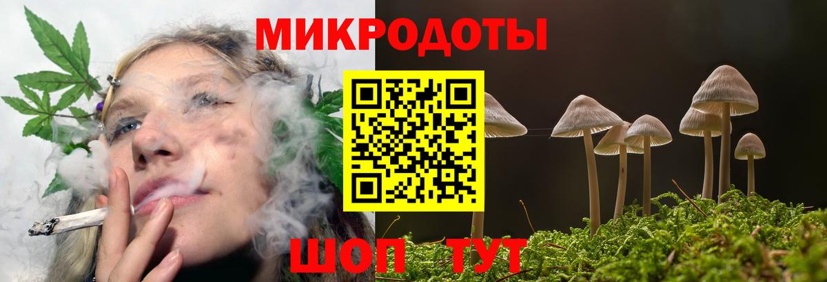 Галлюциногенные грибы прущие грибы Кандалакша